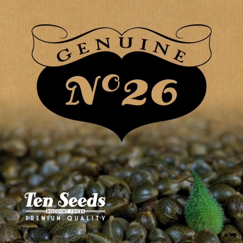 Ten Seeds - N°26 - Jacky Jack