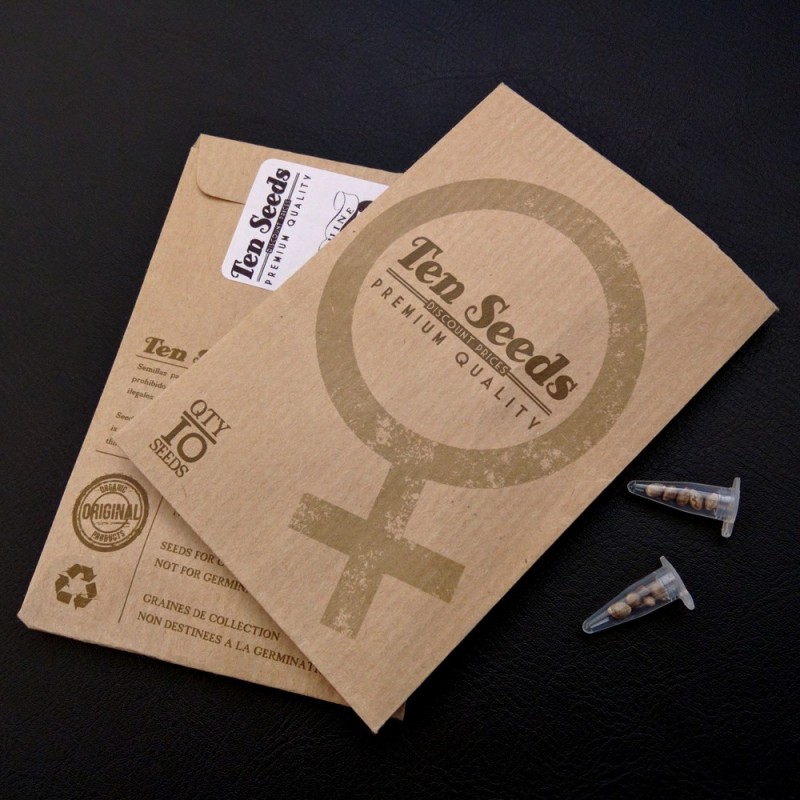 Ten Seeds - N°44 - Fruity Purple Ten Seeds - N°44 - Fruity Purple