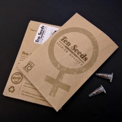 Ten Seeds - N°26 - Jacky Jack Ten Seeds - N°26 - Jacky Jack