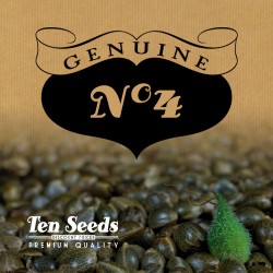 N°4 - Critical Fast...